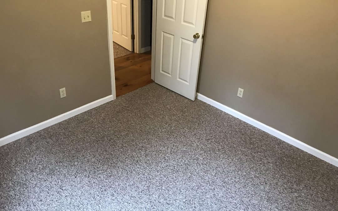 Residential Carpet Cleaning Sylva